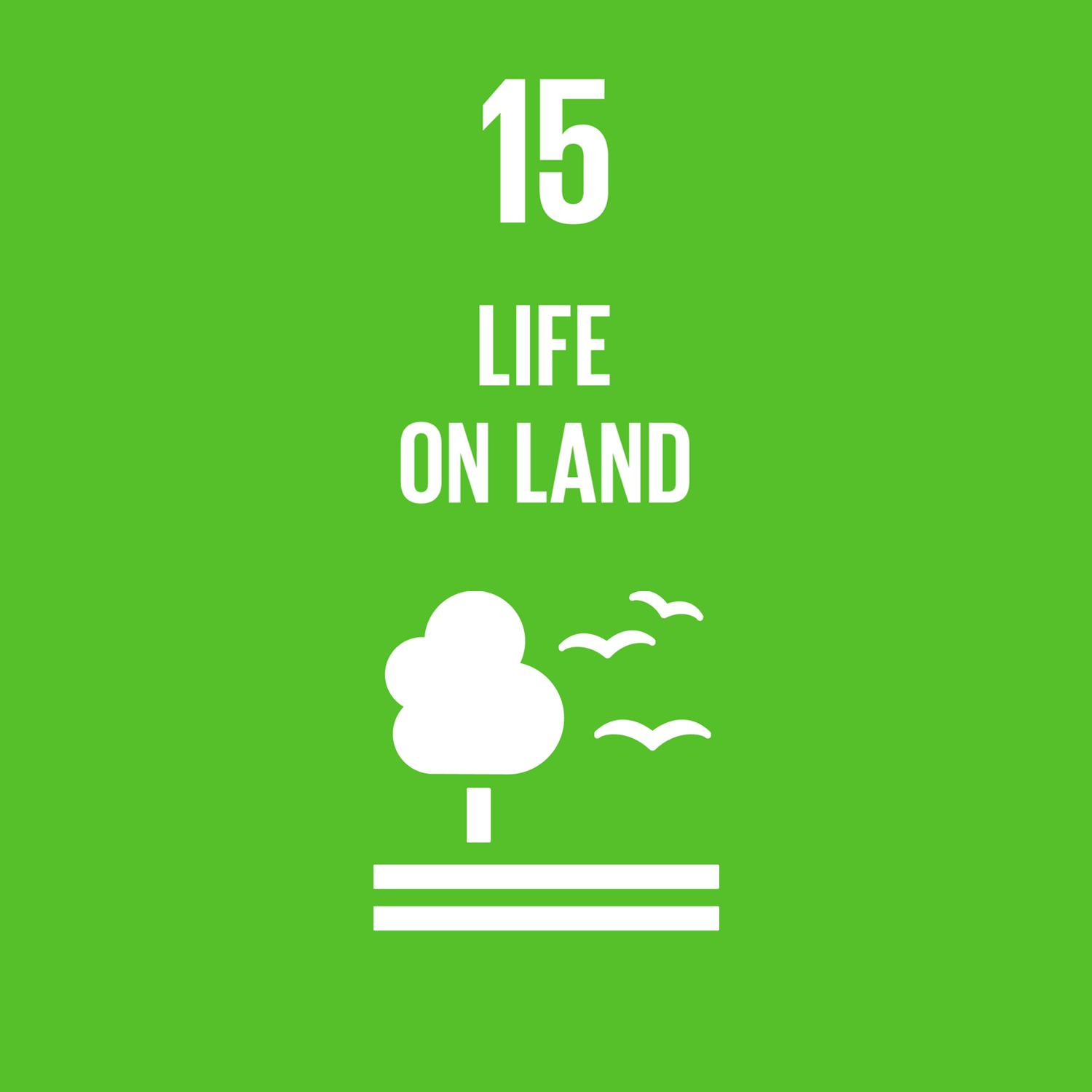 Obiettivo SDG