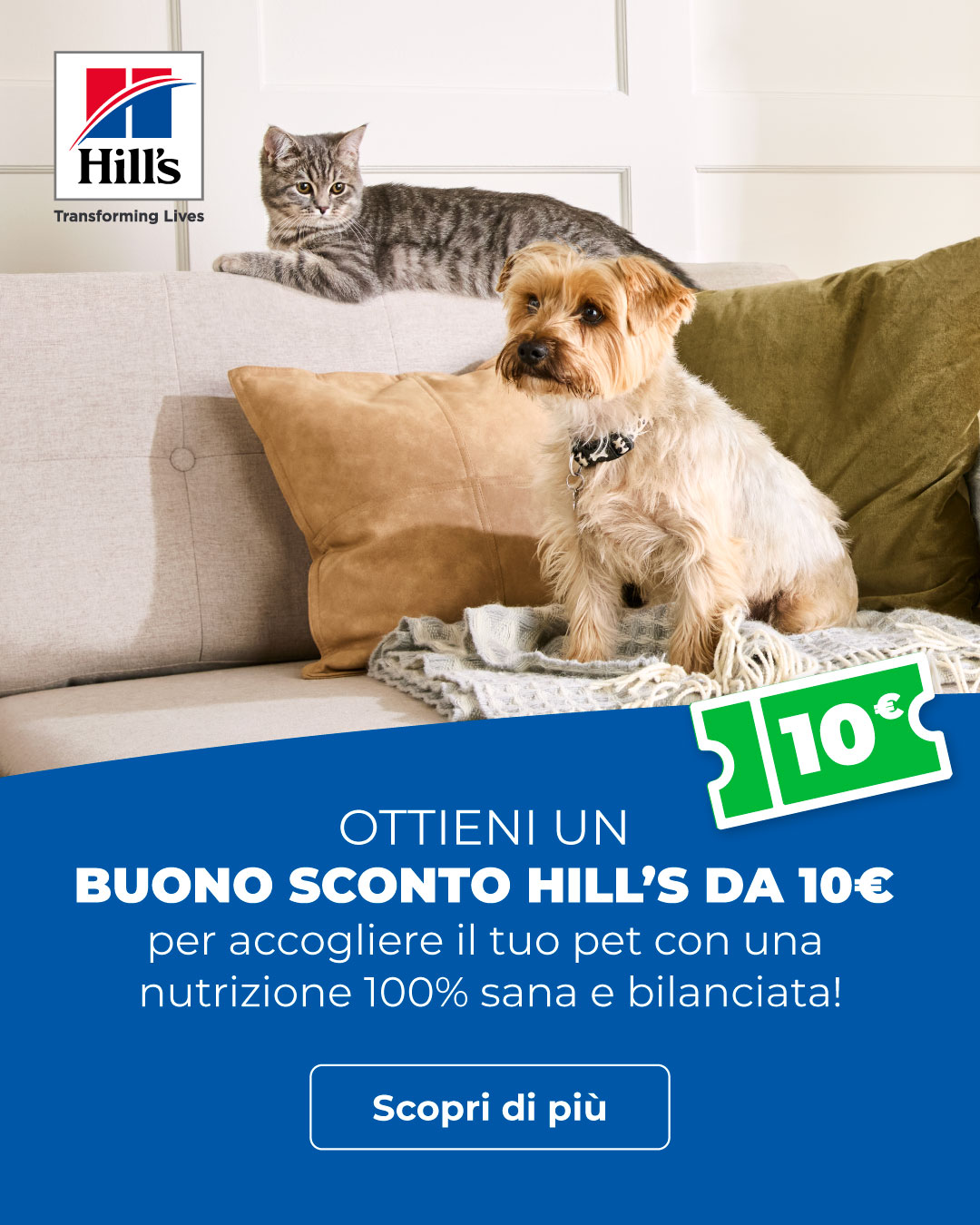 Pet consultancy banner