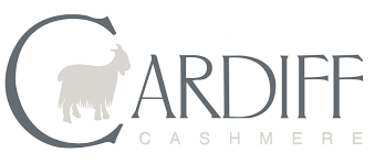 Logo di Cardiff