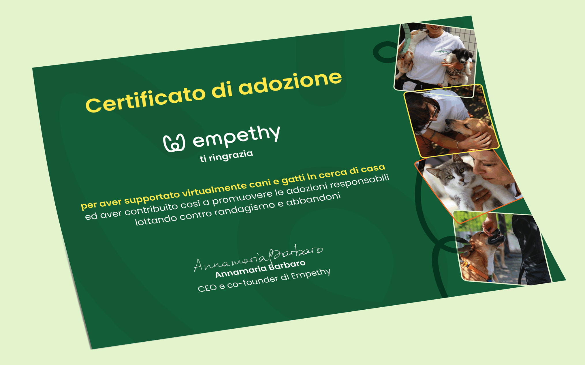 Certificato di adozione preview