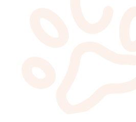 Grafica dei Coupon di Empethy