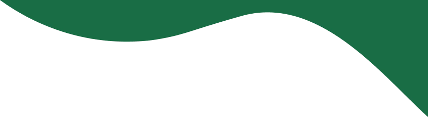 Grafica di Empethy