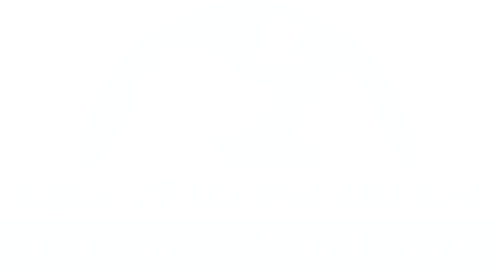Scelta del pet
