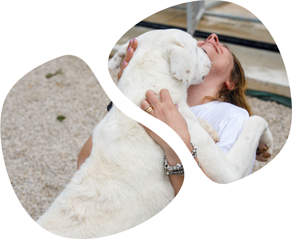 Foto di una volontaria di empethy che abbraccia un cane