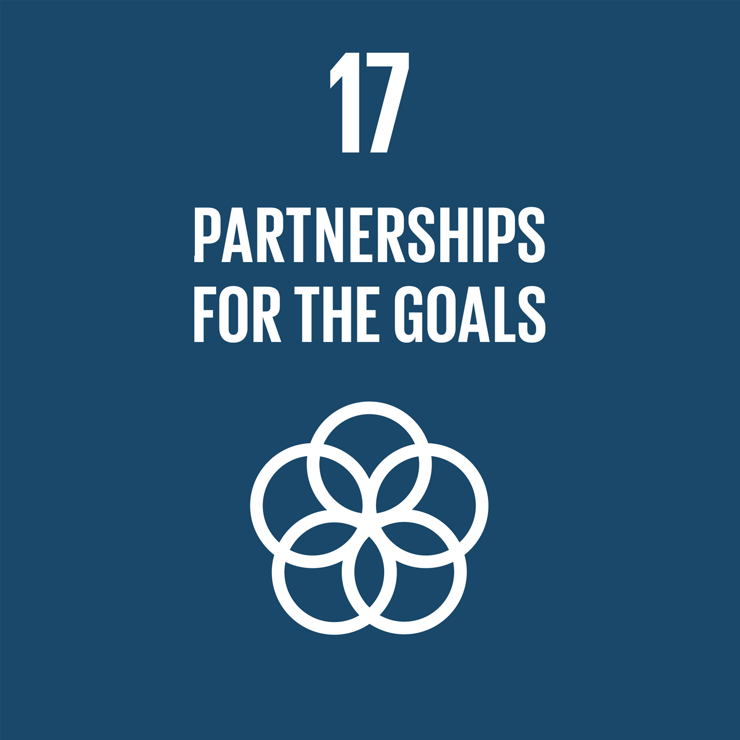Obiettivo SDG