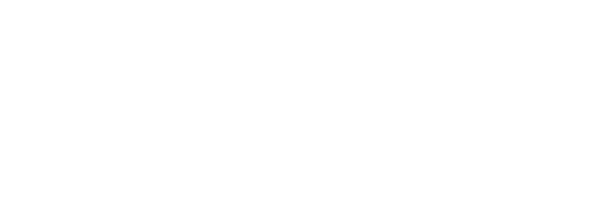 Back to Life Dog Rescue