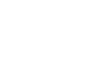 Human Dogs